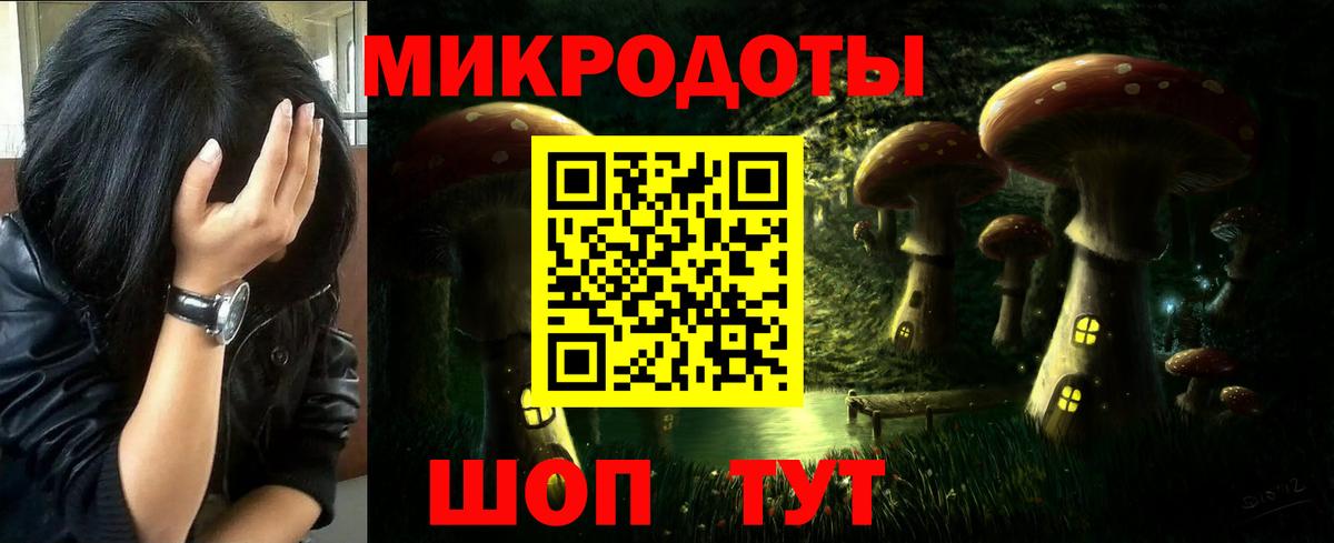 Урюпинск  Галлюциногенные грибы Cubensis  Вход с VPN 